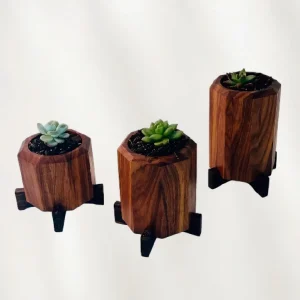 The Trio Geometric Wooden Planter Set – Handcrafted Succulent Display