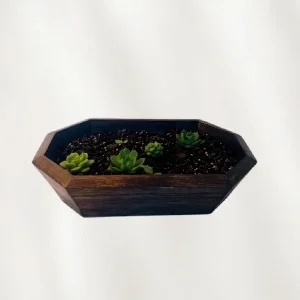 Modern Geometric Wood Planter – Hexagonal Succulent Bowl
